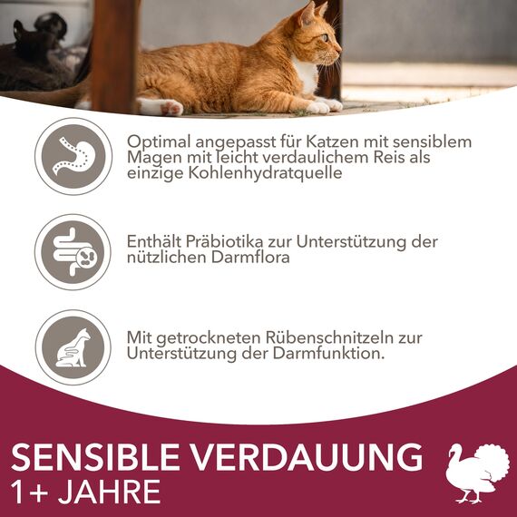 IAMS Sensible Verdauung Katzenfutter trocken mit Pute - Trockenfutter für Katzen mit empfindlichen Mägen ab 1 Jahr, 10 kg