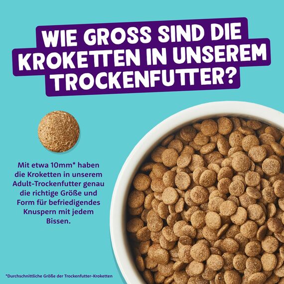 Edgard & Cooper Katzenfutter, Trockenfutter für Katzen, (Lachs, 2kg), Getreidefrei, voll von frischem Fisch und natürlichen Zutaten, geeignet für sterilisierte und aktive Katzen