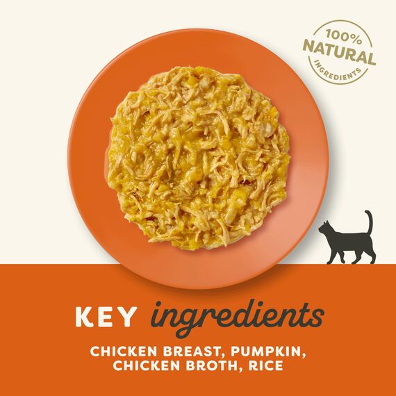 Applaws Premium Natural Katzenfutter Nass, Hühnerbrust und Kürbis in Brühe 70g Portionsbeutel (12x70g )