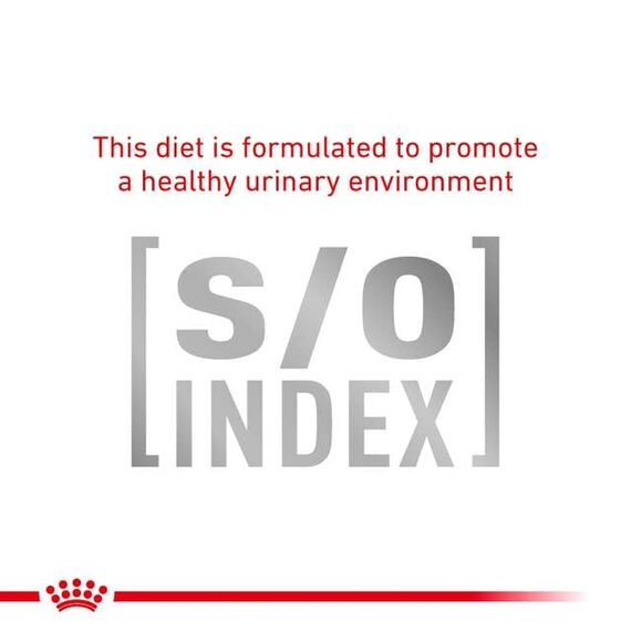Royal Canin Gastrointestinal Feline | 3er Pack | 3 x 400 g | Trockenfutter für Katzen | Kann unterstützend helfen bei gastrointestinalen Erkrankungen bei Katzen | Hohe Akzeptanz