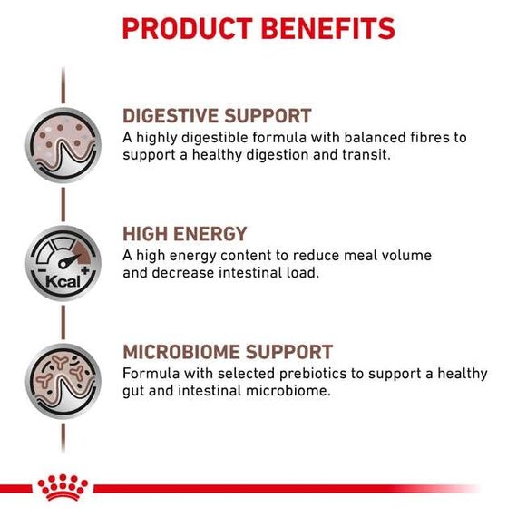 Royal Canin Gastrointestinal Feline | 3er Pack | 3 x 400 g | Trockenfutter für Katzen | Kann unterstützend helfen bei gastrointestinalen Erkrankungen bei Katzen | Hohe Akzeptanz
