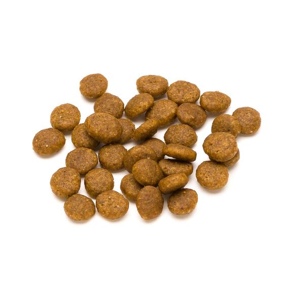 by Amazon Katzenfutter für ausgewachsene Katzen, Fein zubereitetes Trockenfutter mit frischem Lachs und Reis, 10 kg (1er-Pack)(Zuvor eine Marke von Lifelong, gleiches Produkt)