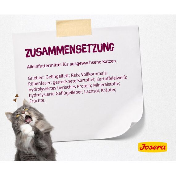 JOSERA Senior (1 x 10 kg) | Senior | Premium Trockenfutter für ältere Katzen oder Katzen mit Niereninsuffizienz | Geflügel & Reis | leicht verdaulich | getreidefrei | Katzenfutter | 1er Pack