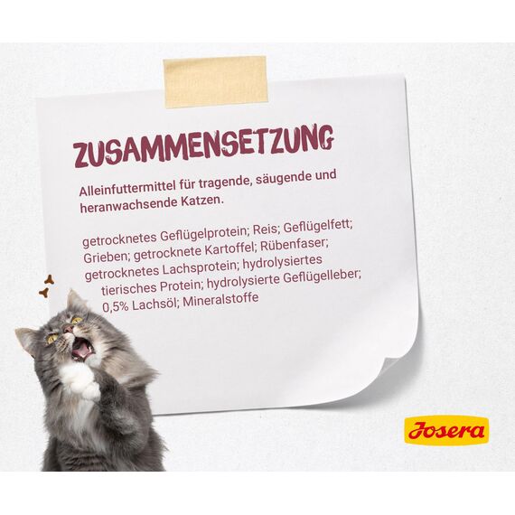 JOSERA Kitten (1 x 2 kg) | Kitten | Premium Trockenfutter für heranwachsende Katzen & Katzen-Mütter in der Säugezeit | Lachs & Geflügel | leicht verdaulich | weizefrei | Katzenfutter | 1er Pack