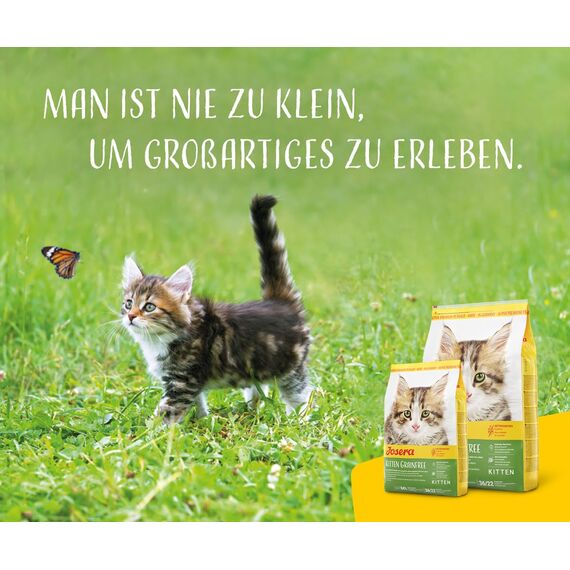 JOSERA Kitten grainfree (1 x 400 g) | getreidefreies Katzenfutter mit Lachsöl | Super Premium Trockenfutter für wachsende Katzen | 2er Pack