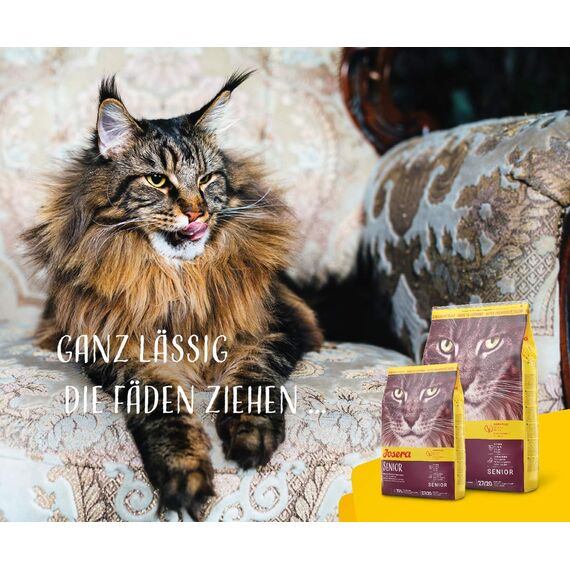 JOSERA Senior (1 x 400 g) | Adult | Premium Trockenfutter für ausgewachsene empfindliche Katzen | Geflügel & Reis | extra verträgliche Rezeptur | weizenfrei | Katzenfutter | 1er Pack