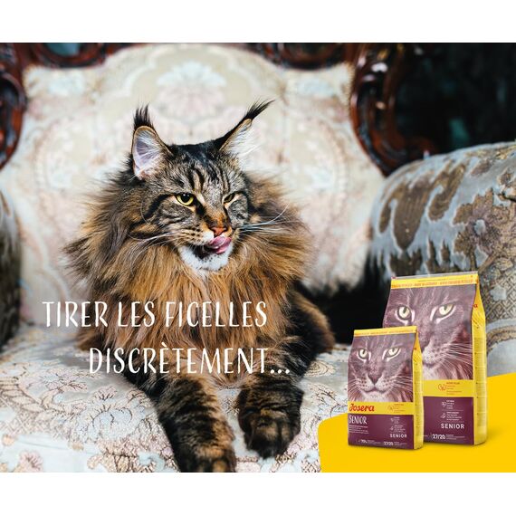 JOSERA Senior (1 x 400 g) | Adult | Premium Trockenfutter für ausgewachsene empfindliche Katzen | Geflügel & Reis | extra verträgliche Rezeptur | weizenfrei | Katzenfutter | 2er Pack
