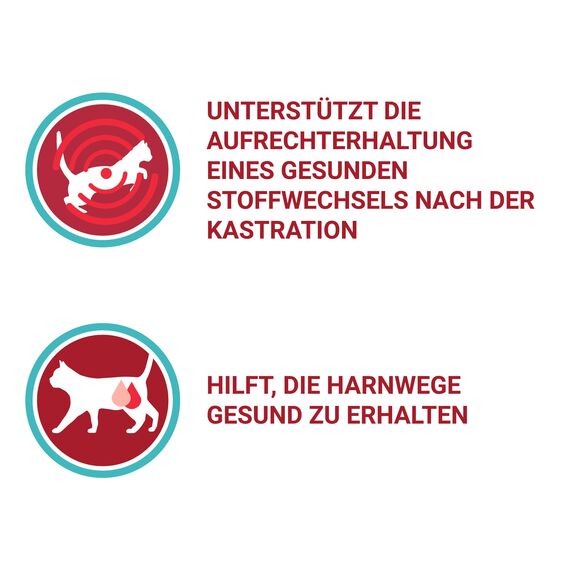 PURINA ONE Katzennassfutter, hochwertige Katzennahrung, reich an Vitaminen und Mineralstoffen, 24er Pack (24 x 85 g Beutel)