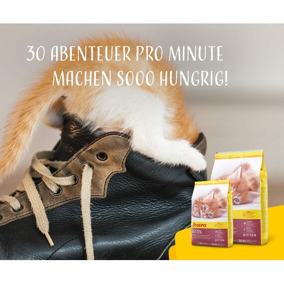JOSERA Kitten (1 x 400 g) | Kitten | Premium Trockenfutter für heranwachsende Katzen & Katzen-Mütter in der Säugezeit | Lachs & Geflügel | leicht verdaulich | weizefrei | Katzenfutter | 1er Pack