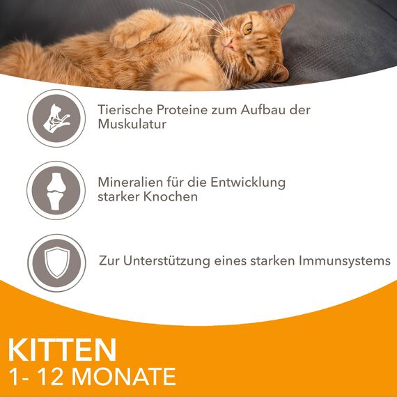 IAMS Delights Kitten Nassfutter - Multipack Katzenfutter mit Huhn in Sauce, hochwertiges Futter für Junior Kätzchen von 1-12 Monate, 24 x 85 g