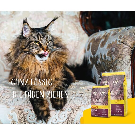 JOSERA Senior (1 x 400 g) | Adult | Premium Trockenfutter für ausgewachsene empfindliche Katzen | Geflügel & Reis | extra verträgliche Rezeptur | weizenfrei | Katzenfutter | 1er Pack