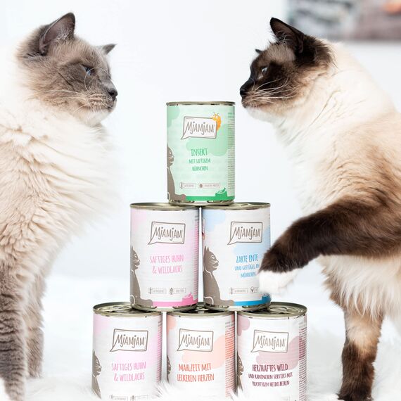 MjAMjAM - Premium Nassfutter für Katzen - Probierpaket, 6er Pack (6 x 800 g), getreidefrei mit extra viel Fleisch