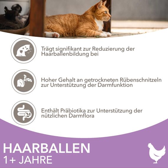 IAMS Anti-Haarballen Katzenfutter trocken mit Huhn - Trockenfutter für Katzen ab 1 Jahr, 10 kg
