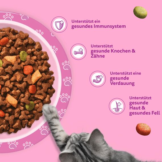 WHISKAS Junior Trockenfutter für Katzen 4 x 1,9kg mit Huhn