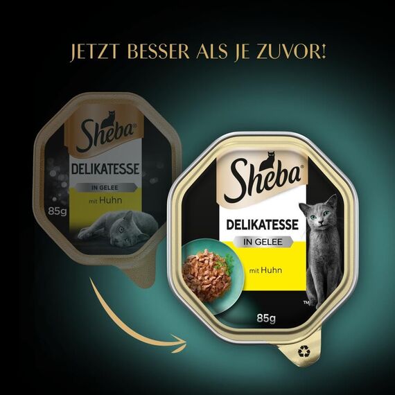 Sheba Schale Nassfutter für Katzen Delikatesse in Gelee mit Huhn 2 x 11 x 85g
