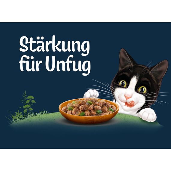 Felix Naturally Delicious Katzenfutter nass Geschmacksvielfalt vom Hof mit Gemüse in Gelee 6er Pack (10 x 80g)
