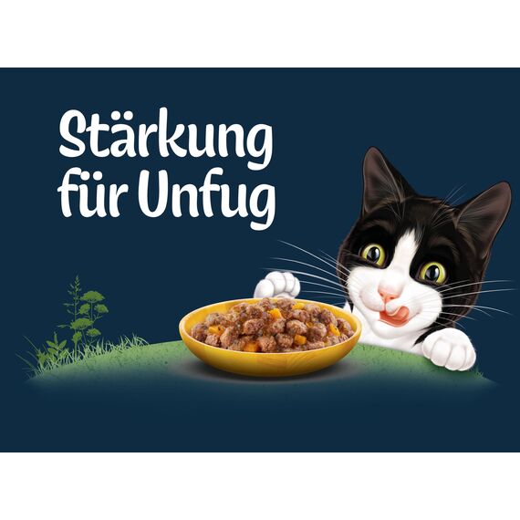 Felix Naturally Delicious Katzenfutter nass in Gelee, Geschmacksvielfalt von der Wiese mit Gemüse, 6er Pack (10 x 80g)