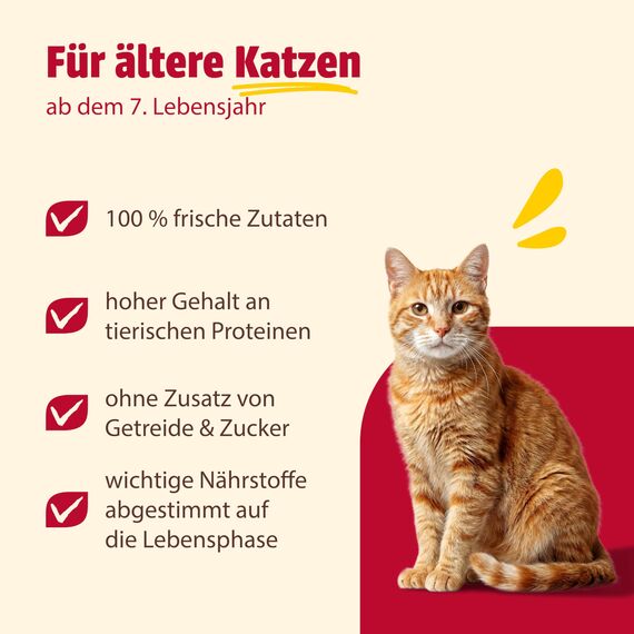 animonda Carny Senior Rind + Huhn mit Käse (6 x 400 g), Katzennassfutter für ältere Katzen ab 7 Jahren, Senior Nassfutter mit 100 % frischen Zutaten, Katzenfutter ohne Getreide und Zucker