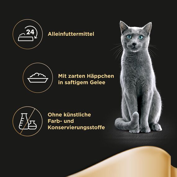 SHEBA Schale Nassfutter für Katzen Delikatesse in Gelee mit Lachs 2 x 11 x 85g (Packung mit 2)