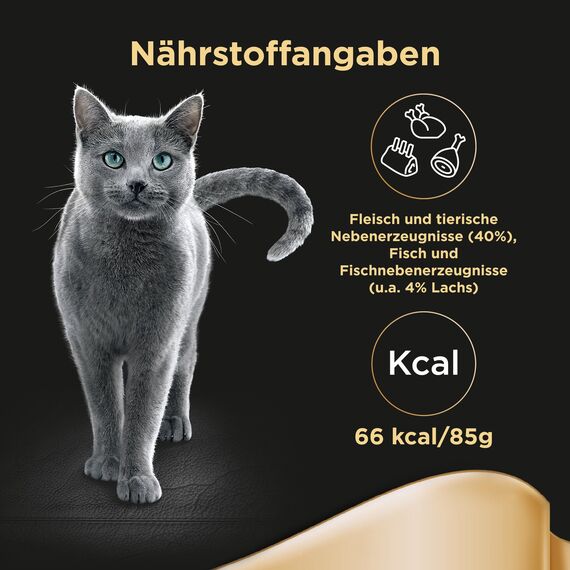 SHEBA Schale Nassfutter für Katzen Delikatesse in Gelee mit Lachs 2 x 11 x 85g (Packung mit 2)