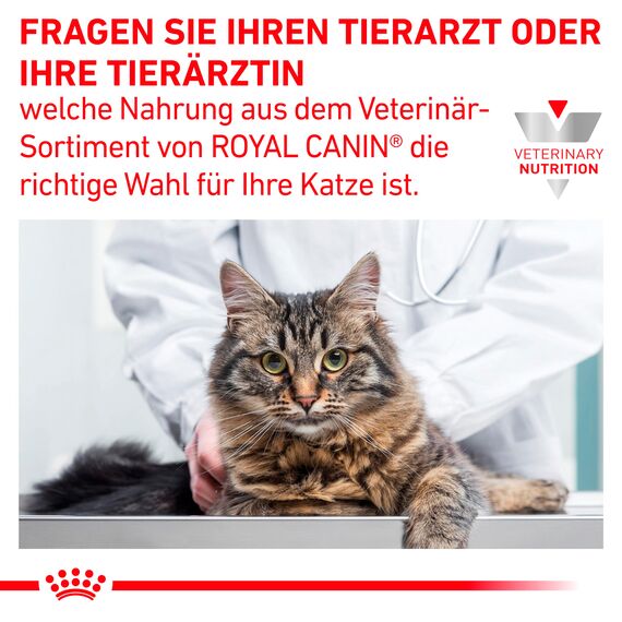 Royal Canin Veterinary Gastrointestinal | 2 kg | Trockenfutter für Katzen | Kann unterstützend helfen bei gastrointestinalen Erkrankungen bei Katzen | Hohe Akzeptanz