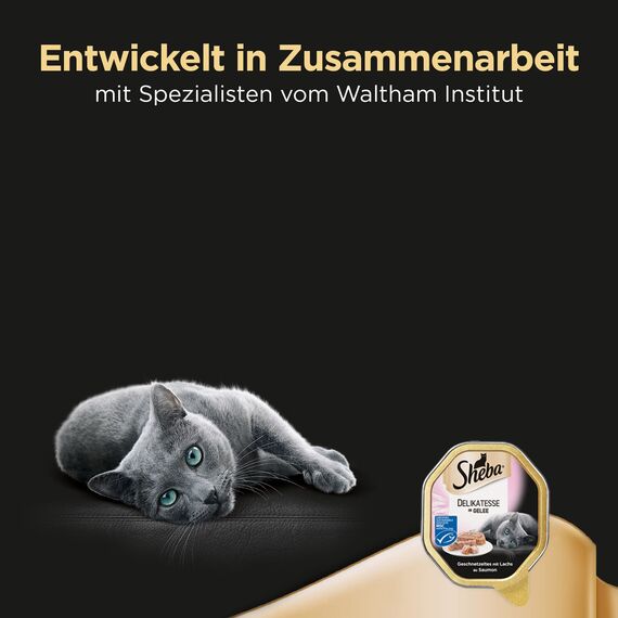 SHEBA Schale Nassfutter für Katzen Delikatesse in Gelee mit Lachs 2 x 11 x 85g (Packung mit 2)