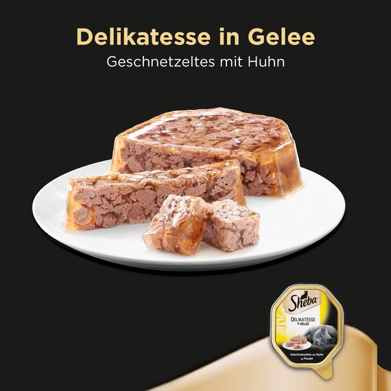 SHEBA Schale Nassfutter für Katzen Delikatesse in Gelee mit Huhn 2 x 11 x 85g (Packung mit 2)