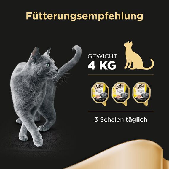 SHEBA Schale Nassfutter für Katzen Delikatesse in Gelee mit Huhn 2 x 11 x 85g (Packung mit 2)