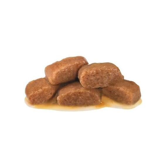 ROYAL CANIN Veterinary Gastro Intestinal Fibre Response | Doppelpack | 2 x 12 x 85 g | Diät-Alleinfuttermittel für Adulte Katzen | Bei Verstopfungen und Anderen Magen-Darm-Problemen