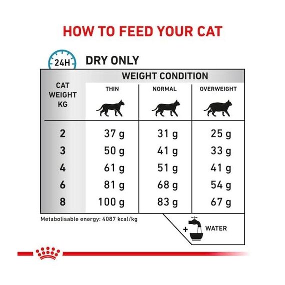 Royal Canin Veterinary Hypoallergenic | 4er Pack | 4 x 400 g | Diät-Alleinfuttermittel für ausgewachsene Katzen | Zur Minderung von Allergien und Nährstoffintoleranzerscheinungen