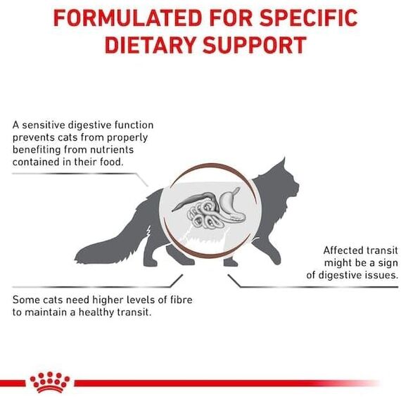 ROYAL CANIN Veterinary Gastro Intestinal Fibre Response | Doppelpack | 2 x 12 x 85 g | Diät-Alleinfuttermittel für Adulte Katzen | Bei Verstopfungen und Anderen Magen-Darm-Problemen