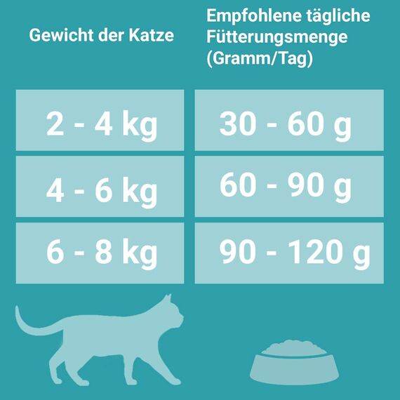 PURINA ONE BIFENSIS Sensitive Katzentrockenfutter: reich an Truthahn & Reis, hohe Verträglichkeit bei Katzen mit empfindlicher Verdauung, mit Omega 6