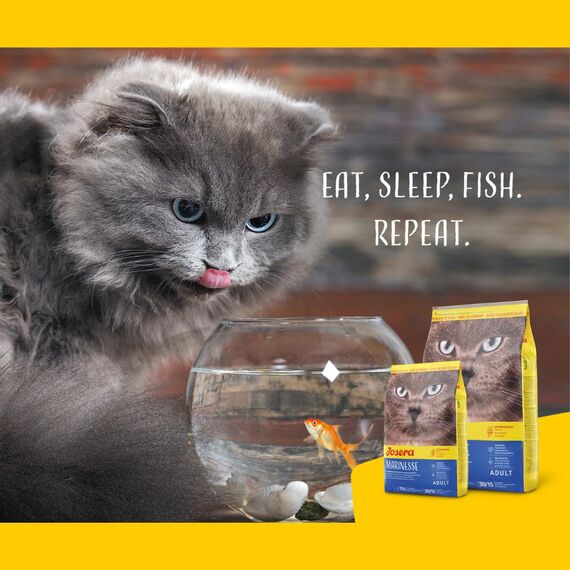 Josera Marinesse (3 x 2kg) | Lachs, Kartoffel und Erbse als ausgesuchte Proteinquelle für anspruchtsvolle Katzen hypoallergenes Katzenfutter Super Premium Trockenfutter 3er Pack