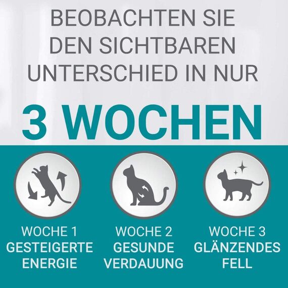 PURINA ONE BIFENSIS Sensitive Katzentrockenfutter: reich an Truthahn & Reis, hohe Verträglichkeit bei Katzen mit empfindlicher Verdauung, mit Omega 6
