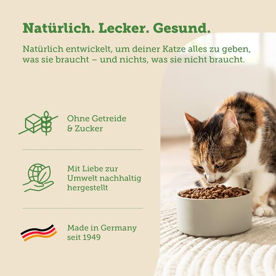 MERA Cats Nature Lachs Premium Katzenfutter Trocken 400g | Getreidefrei & zuckerfrei | Adult Katzen Trockenfutter hoher Fleischanteil | Dry Cat Food