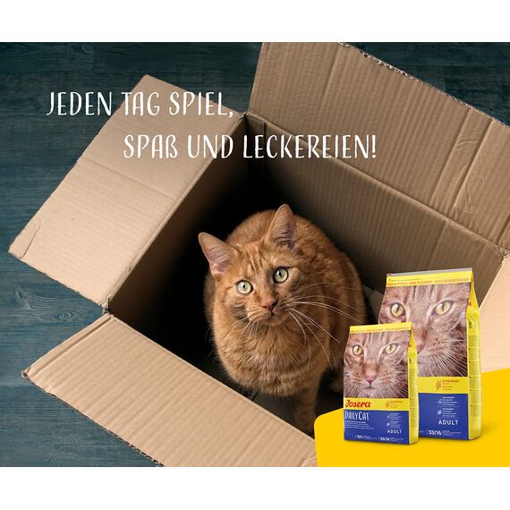 JOSERA DailyCat (1 x 2 kg) | Adult | Premium Trockenfutter für ausgewachsene Katzen | Geflügel & Süßkartoffel | erlesene Kräuter & gesunde Früchte | getreidefrei | Katzenfutter | 1er Pack