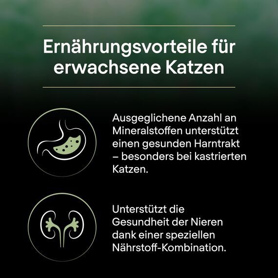 Pro Plan LiveClear Sterilised Adult, Katzenfutter nass, reich an Truthahn, 6er Pack, (6 x 1,4 kg)
