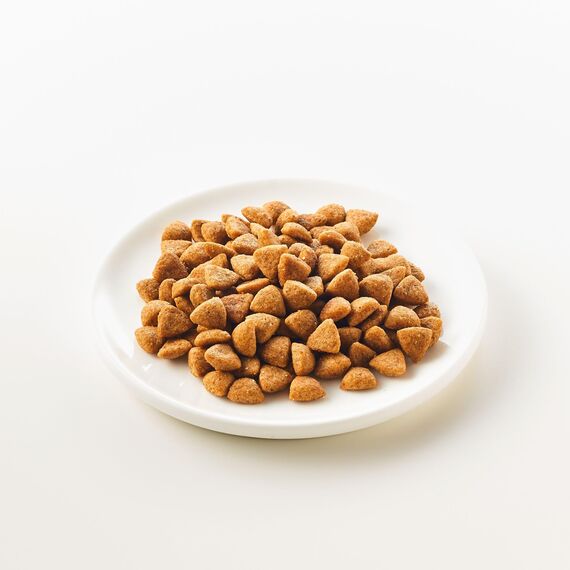 KATTOVIT - Niere/Renal Trockenfutter für Katzen | Katzen-Trockenfutter zur Unterstützung der Nierenfunktion für ausgewachsene Katzen. Diätfutter als Alleinfuttermittel | 1.250 g Huhn