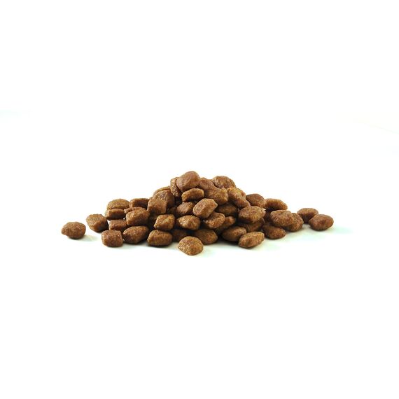 PURINA ONE BIFENSIS Sensitive Katzentrockenfutter: reich an Truthahn & Reis, hohe Verträglichkeit bei Katzen mit empfindlicher Verdauung, mit Omega 6