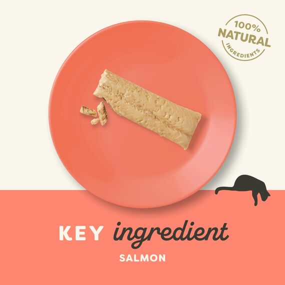 Applaws Natural Cat Treats, Ganzer Lachs Loin Katzensnack, 30g Beutel (Packung mit 12 Stück)