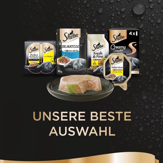 SHEBA Schale Nassfutter für Katzen Finesse Feine Pastete mit Lachs MSC-Zertifiziert 22 x 85g (Packung mit 2)