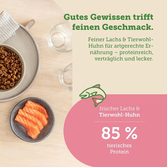 MERA Cats Nature Lachs Premium Katzenfutter Trocken 400g | Getreidefrei & zuckerfrei | Adult Katzen Trockenfutter hoher Fleischanteil | Dry Cat Food