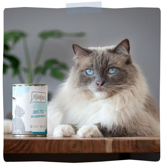 MjAMjAM - leckere Mahlzeiten Mixpaket II für deine Katze 6 x 400 g
