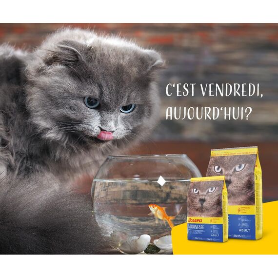 JOSERA Marinesse (1 x 400 g) | Adult | Premium Trockenfutter für ausgewachsene allergische Katzen | Lachs, Kartoffel & Erbse als ausgesuchte Proteinquellen | getreidefrei | Katzenfutter | 2er Pack