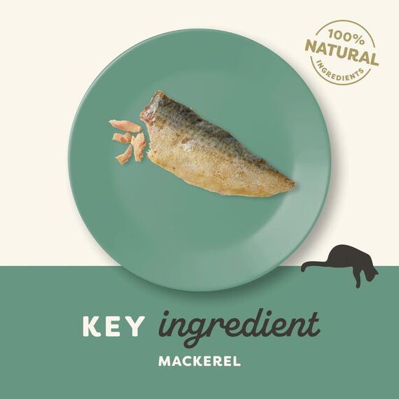 Applaws Natural Cat Treats, Ganze Makrele Lende Katzensnack, 30g Beutel (Packung mit 12 Stück)