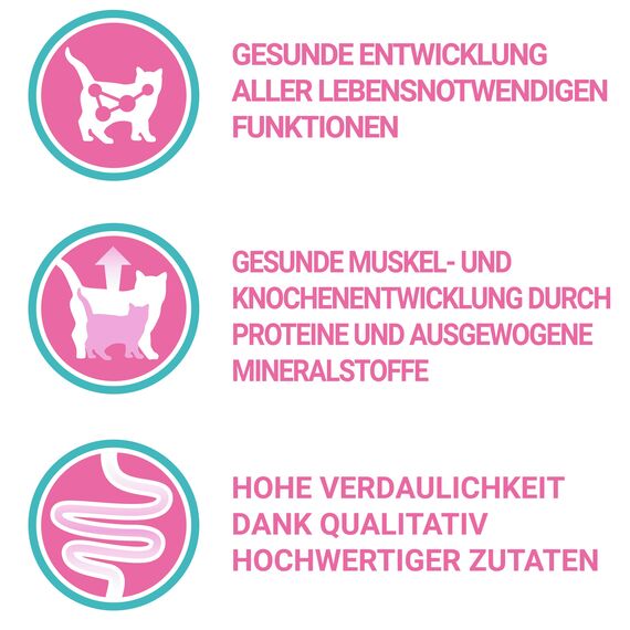 PURINA ONE Junior reich an Huhn und Vollkorn-Getreide