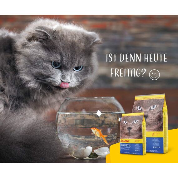 JOSERA Marinesse (1 x 400 g) | Adult | Premium Trockenfutter für ausgewachsene allergische Katzen | Lachs, Kartoffel & Erbse als ausgesuchte Proteinquellen | getreidefrei | Katzenfutter | 1er Pack