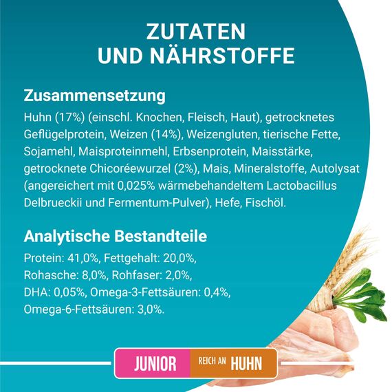 PURINA ONE Junior, Reich an Huhn und Vollkorn-Getreide Katzentrockenfutter, 6er Pack (6 x 1500 g)