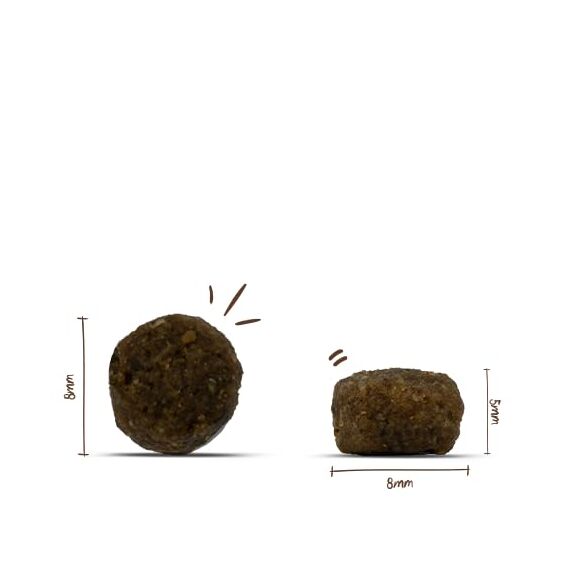 Sanabelle Adult mit Forelle | Katzentrockenfutter für ausgewachsene Katzen (ab dem 12. Monat) | 1 x 2 kg