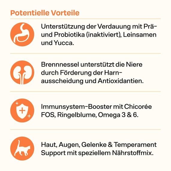The Better Cat Super Premium Trockenfutter für Katzen | Getreidefreies Katzenfutter Trocken | Hoher Fleischanteil | Ohne Zucker | Mit Probiotika (1kg, Lachs)